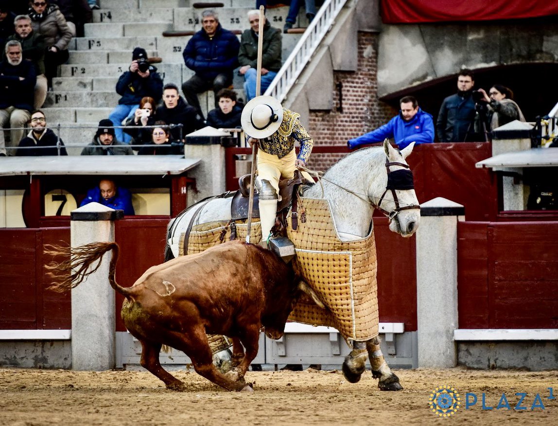 Sí, claro que es posible picar bien. Mover al caballo para colocar el toro, darle los pechos, llamarlo con el brazo arriba, esperar la acometida y tirar el palo en todo lo alto. Puyazos en el sitio, sin barrenar, midiendo el castigo. Ayer lo demostró Aurelio Cruz en Madrid.
