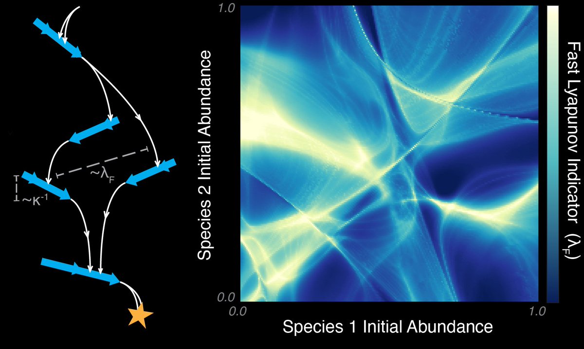 Can we think of biological dynamics as hard analogue optimization problems? My new preprint explores what happens when an ecosystem becomes ill-conditioned. arxiv.org/html/2403.1918…