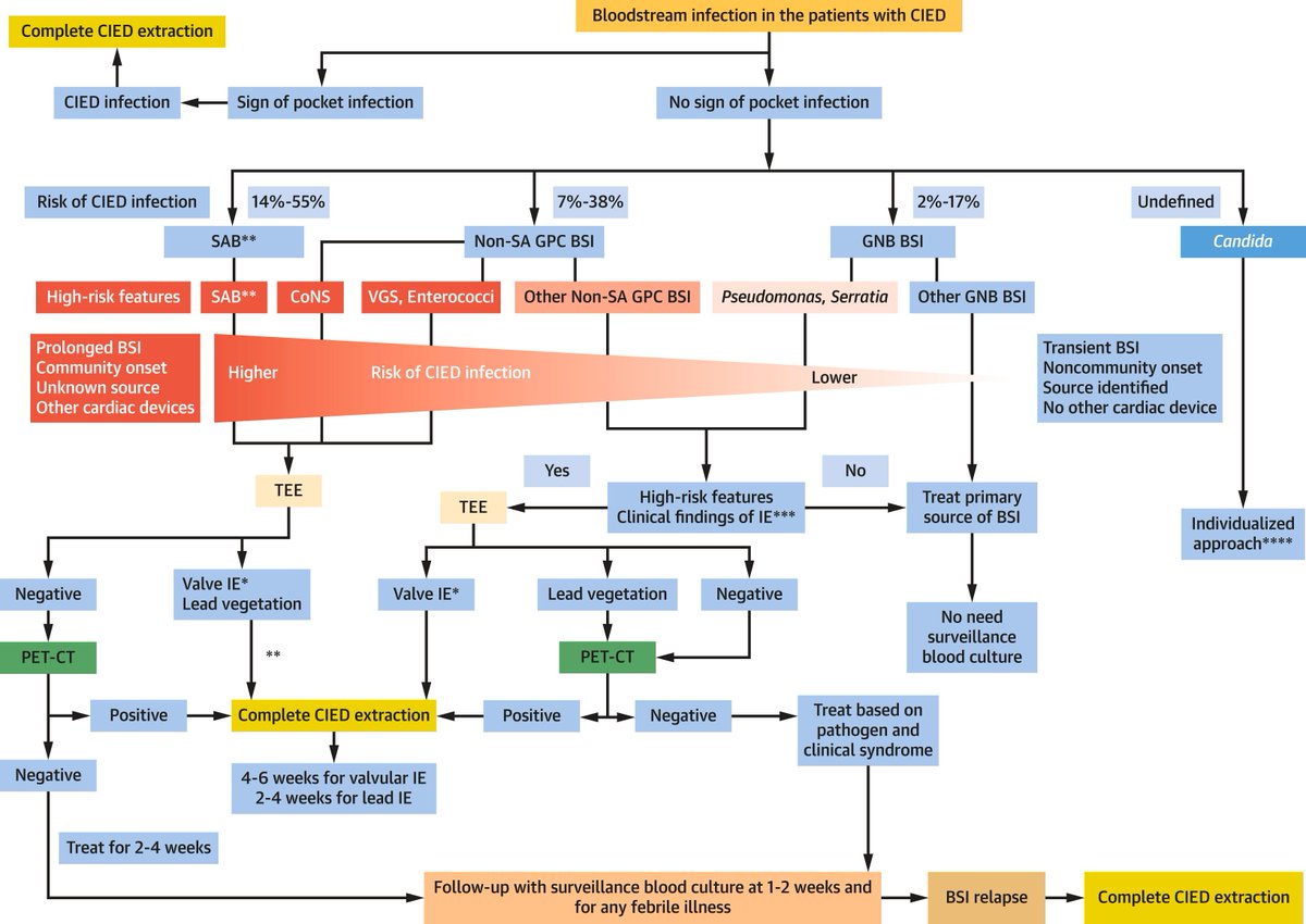 📌Infective #Endocarditis Involving Implanted Cardiac Electronic Devices @JACCJournals #FocusSeminar 1/4 #CIED #IE