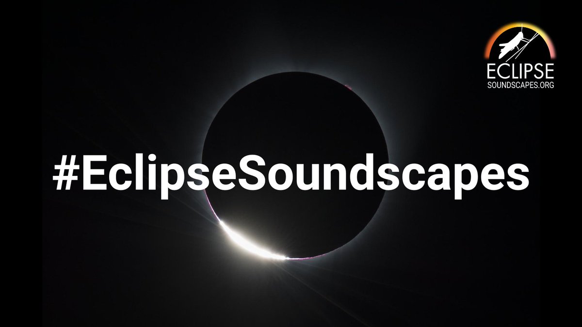 Only one week to go until the eclipse! Help us collect NASA science on eclipse day. Share your sensory observations (what you hear, see, or feel) on social media with the hashtag #EclipseSoundscapes, and tag your location! #Eclipse2024 #TotalEclipse #OneMillionActsofScience