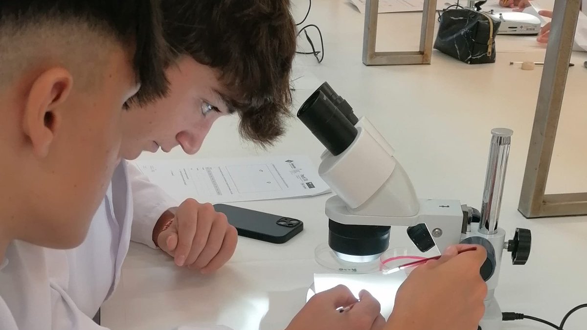 PortUIB's tweet image. Cada setmana acostam la ciència 🦠🔬⚛️🧪a l'alumnat de 4t d'ESO i 1r de batxillerat amb les pràctiques del #DemoLab de la @FCienciesUIB 
📌seras.uib.cat/demolab_demote…
#SeràsUIB
@UIBuniversitat @EDUN_IB