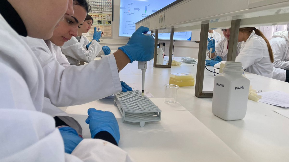 PortUIB's tweet image. Cada setmana acostam la ciència 🦠🔬⚛️🧪a l'alumnat de 4t d'ESO i 1r de batxillerat amb les pràctiques del #DemoLab de la @FCienciesUIB 
📌seras.uib.cat/demolab_demote…
#SeràsUIB
@UIBuniversitat @EDUN_IB