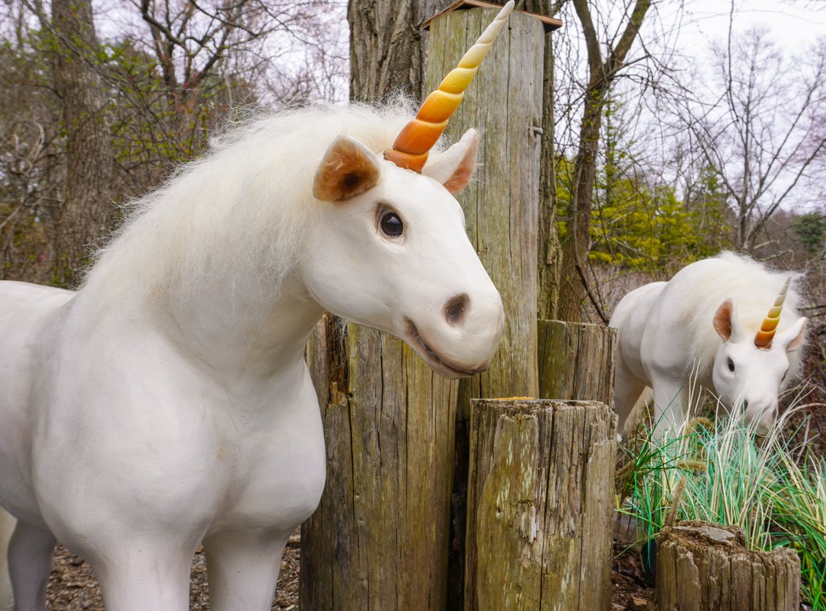 BREAKING NEWS! We're thrilled to announce the arrival of our newest residents: a herd of majestic unicorns! Our dedicated zookeepers are hard at work creating enriching environments & even created a special enrichment program to keep these majestic beasts mentally stimulated.