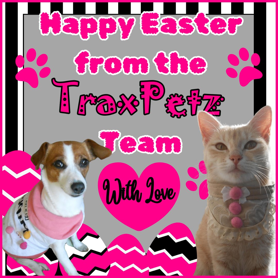PetzTrax's tweet photo. Happy Easter From TraxPetz, with Love 📷
Get your pre-winter specials on blankets, sets, beds and jackets. Up to 50% off! Message us or whatsapp us on 068 265 3010
.
.
.
.
.
#petsza #petbedshopping #petaccessories #smallbusinessbigdreams #handmadewithlove  #southafrican #cutepet https://t.co/MfSv0jNUUD
