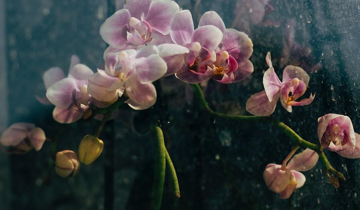 closet_pretty's tweet photo. 🌟 Our April newsletter is LIVE for Your Pretty closet! 🎉 Explore the enchanted world that happens behind the scenes, hear from professionals in-depth, and take advantage of incredible offers and savings!  To get started right now, visit the link here! 👇https://t.co/QVfTRqiJxe https://t.co/JC1vZRlynZ