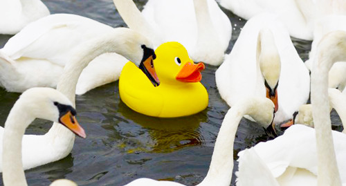 OnToEternity's tweet image. Fam thinks I don't have more accounts I can randomly use.