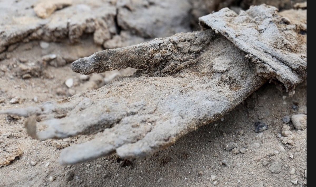 هذه أجسادهم بعد أن داستها الدَّبابات في مستشفى الشفاء!
اللهُمَّ اُقتلْ من قتلهم
واخذُلْ من خذلهم!