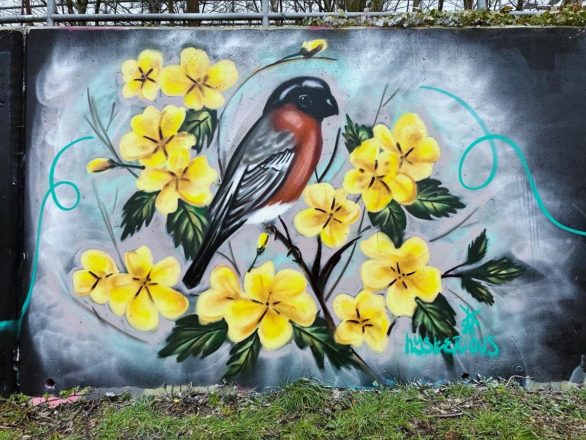 MuralsS's tweet image. Todays paint Jam ⁦@Erskine_Arts You can’t beat live art, and great chat. Bullfinch by Hysterious, Crow by Dullartist24, Raccoon by ⁦@cherylgalbraith⁩ and Brat by Caitriona Hall.