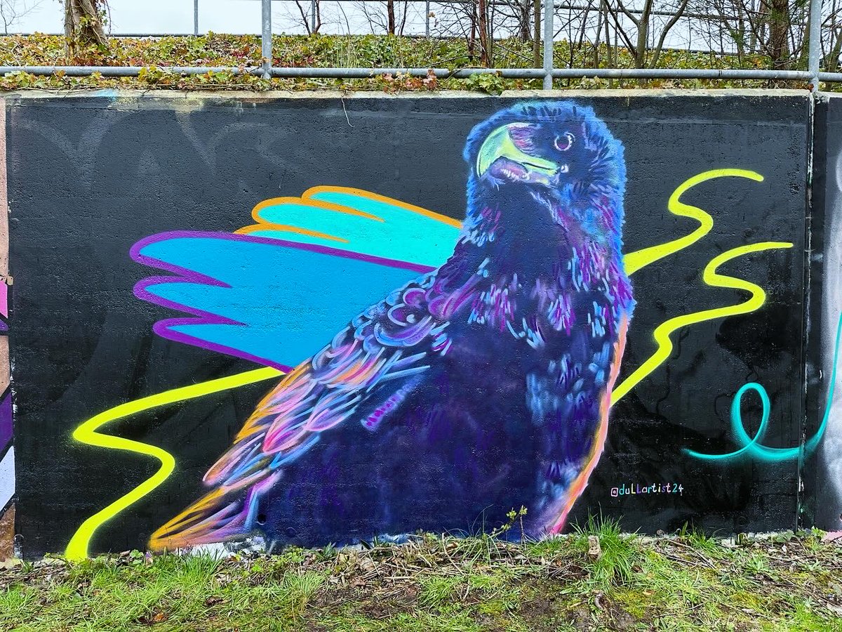 MuralsS's tweet image. Todays paint Jam ⁦@Erskine_Arts You can’t beat live art, and great chat. Bullfinch by Hysterious, Crow by Dullartist24, Raccoon by ⁦@cherylgalbraith⁩ and Brat by Caitriona Hall.