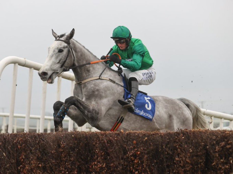 Intense Raffles a #DoubleGreen homebred winning the Irish Grand National! 💚🏆 #IrishNational