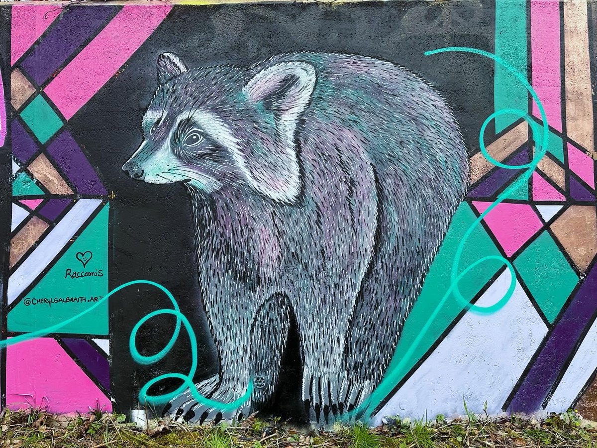 MuralsS's tweet image. Todays paint Jam ⁦@Erskine_Arts You can’t beat live art, and great chat. Bullfinch by Hysterious, Crow by Dullartist24, Raccoon by ⁦@cherylgalbraith⁩ and Brat by Caitriona Hall.