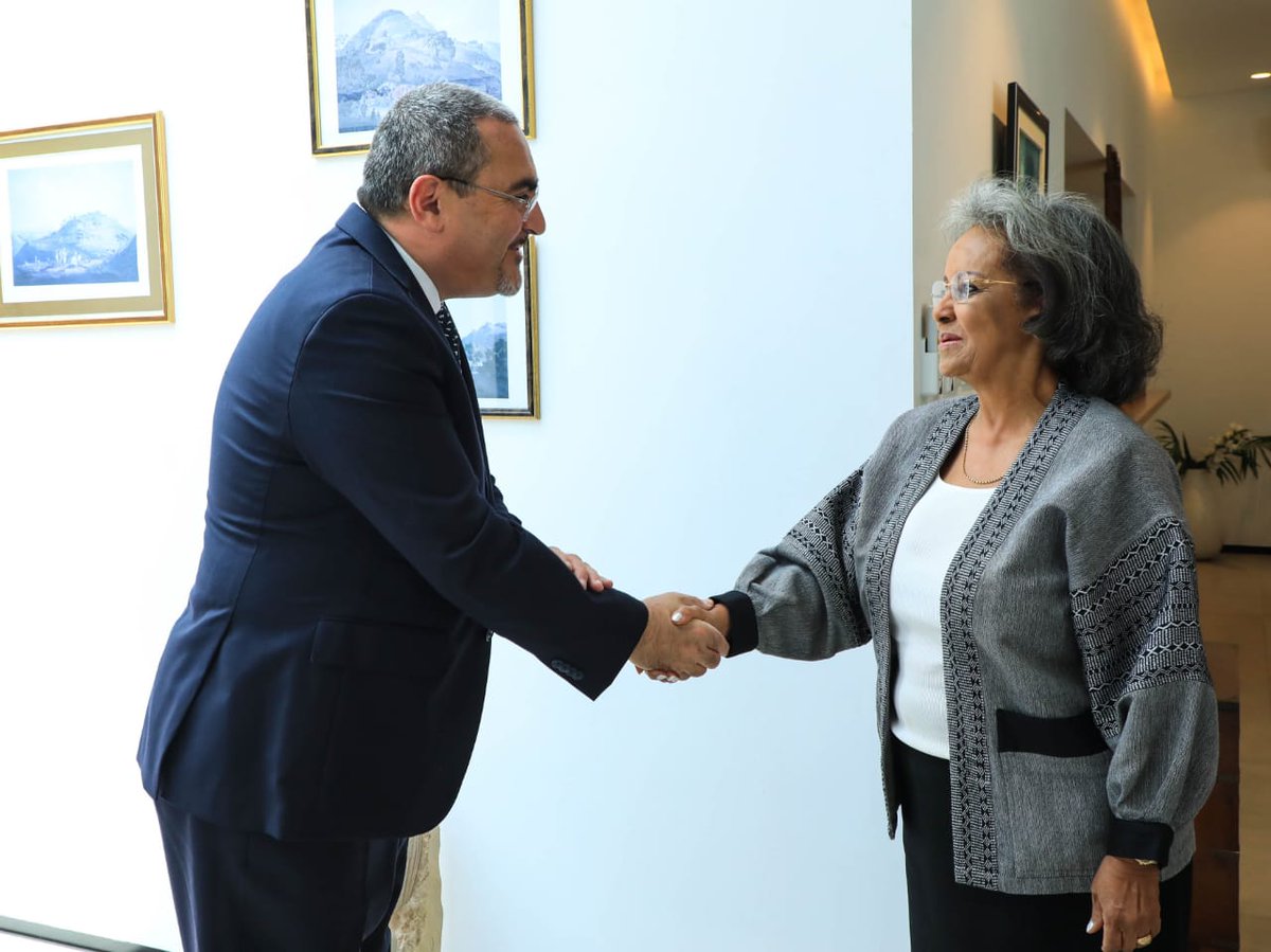 Honoured to meet H.E. President @SahleWorkZewde to discuss @UNEthiopa’s approach to address development priorities and humanitarian challenges. The #UN remains committed to its valued partnership with #Ethiopia 🇪🇹 to scale up solutions that #LeaveNoOneBehind and advance #SDGs