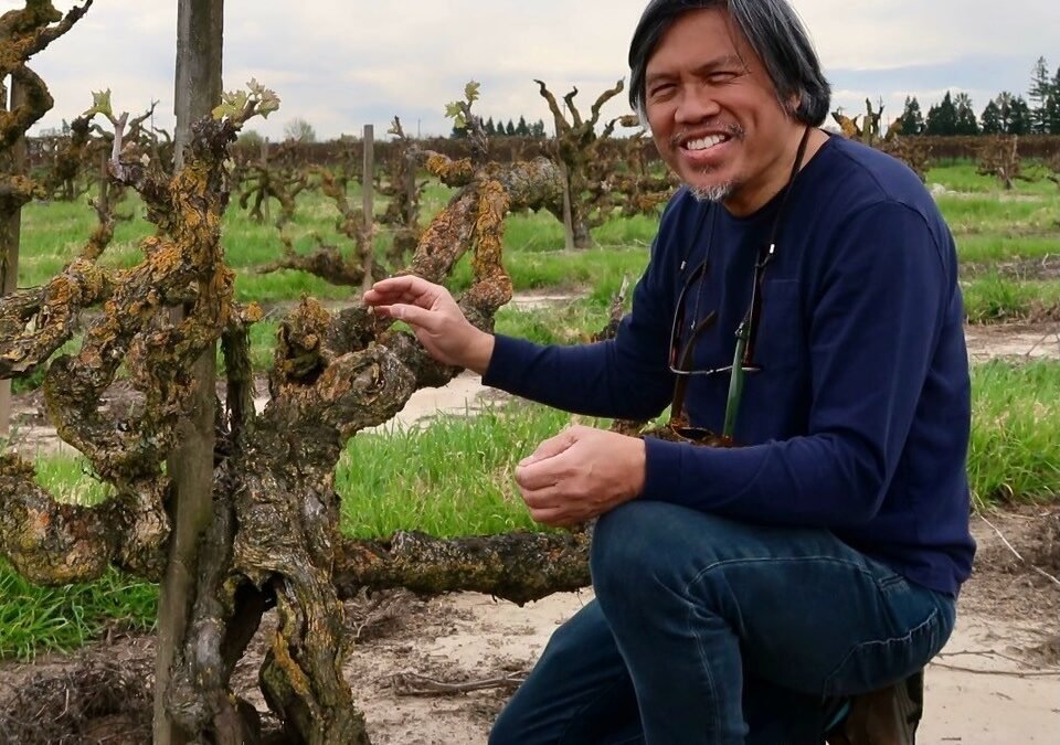 NEW on the lodigrowers.com #blog:  LODI WINE BLOG AUTHOR RANDY CAPAROSO WINS OLD VINE HERO AWARD by Lodi Winegrape Commission <a href="/Lodi_Wine/">Lodi Wine</a>