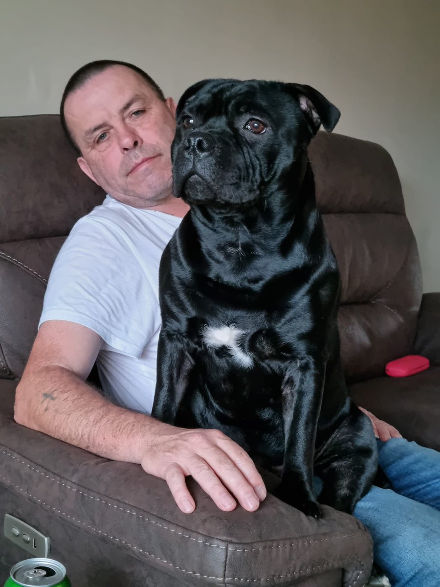 Me and my 10 month old staffy called Alfie such a shiny coat he as