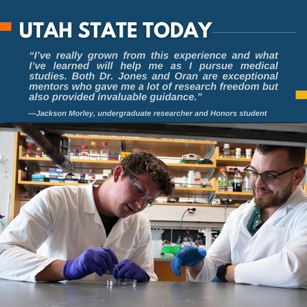 usuhonors's tweet photo. Honors student Jackson Morley was recently featured in Utah State Today! Check out the article to learn more about how Jackson, under the guidance of his faculty mentor Dr. Justin Jones, has been investigating the natural silk produced by Utah’s bees (link in bio)! #DareToKnowUSU https://t.co/FGUKT6OCuh