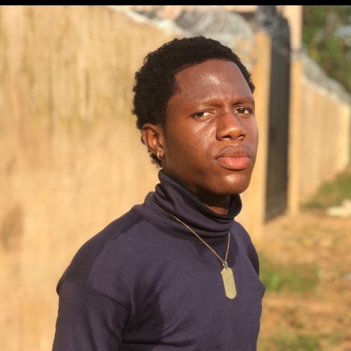 Ndubuisi Chinomso Emmanuel tweet media