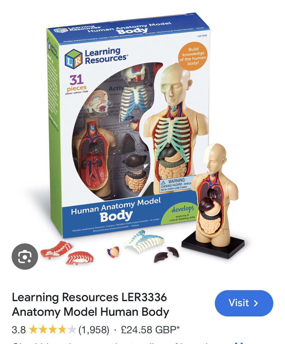 I think I’ve finally found the medical model. 

And it’s only £25!