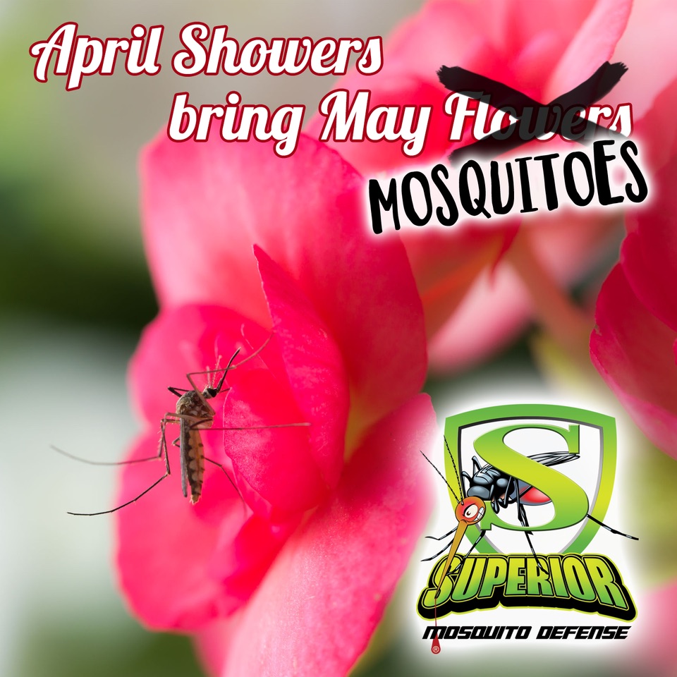 Happy April!!  Time to start thinking about your mosquito control plan, we can help!!!  #iHateMosquitoes
