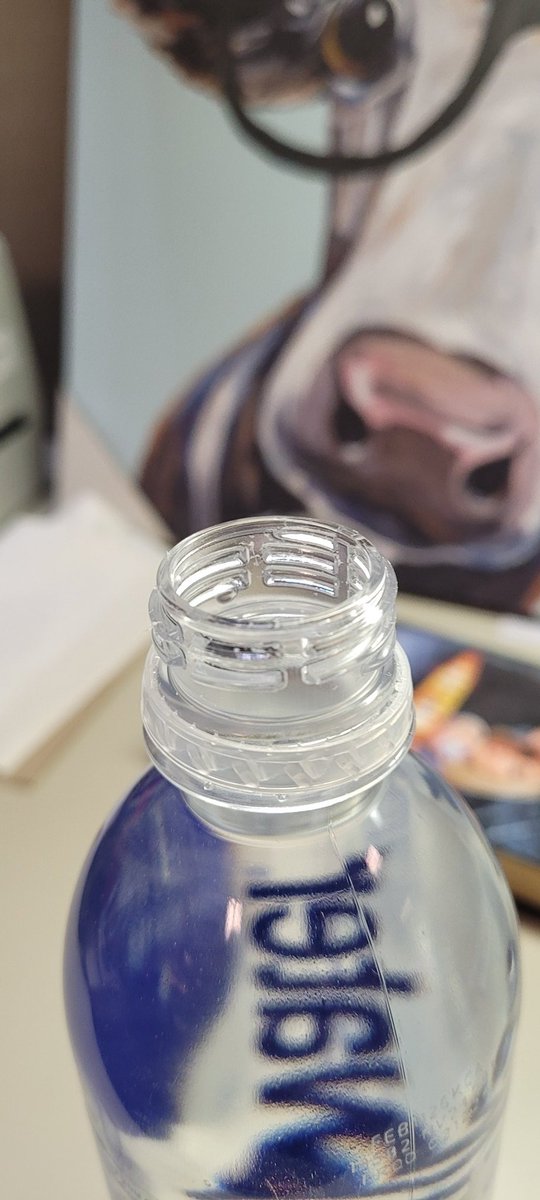 🐮 Betsy Pipra 🐮 tweet media