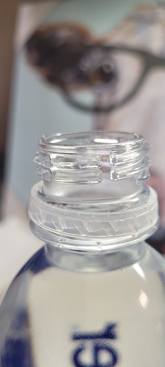 🐮 Betsy Pipra 🐮 tweet media