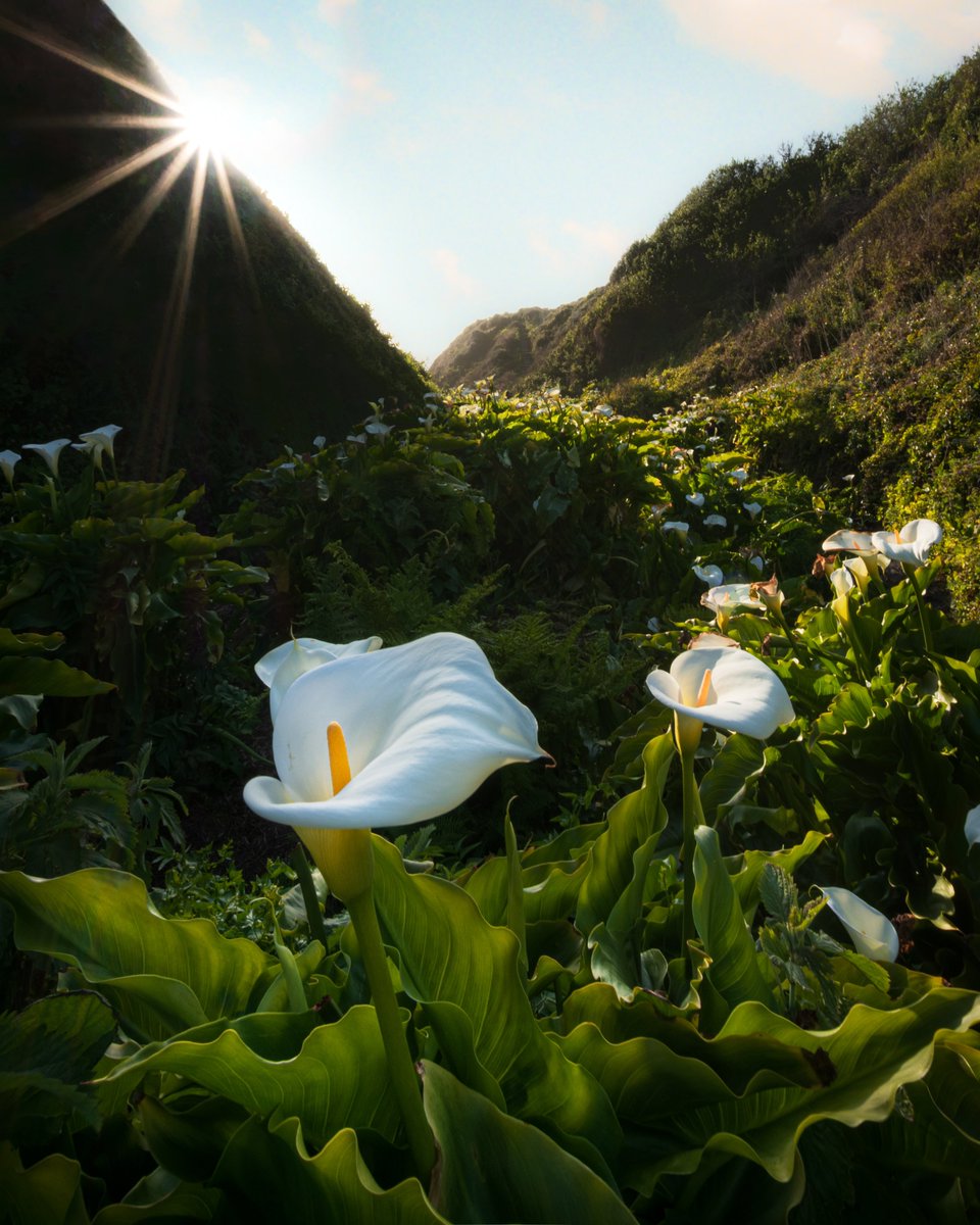 Spring is upon us🌸