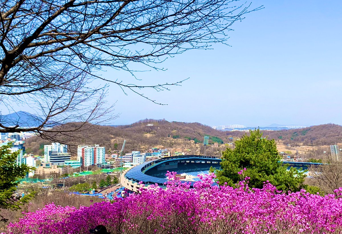 Sophia_Huhu's tweet image. This journey has come to an end.
Everyone is excellent.

All we have to do is follow him and believe in him.

The road ahead of him will be a vast, vast expanse of Royal Road.

Looking forward to welcoming his season together next time.

#부천 #Bucheon