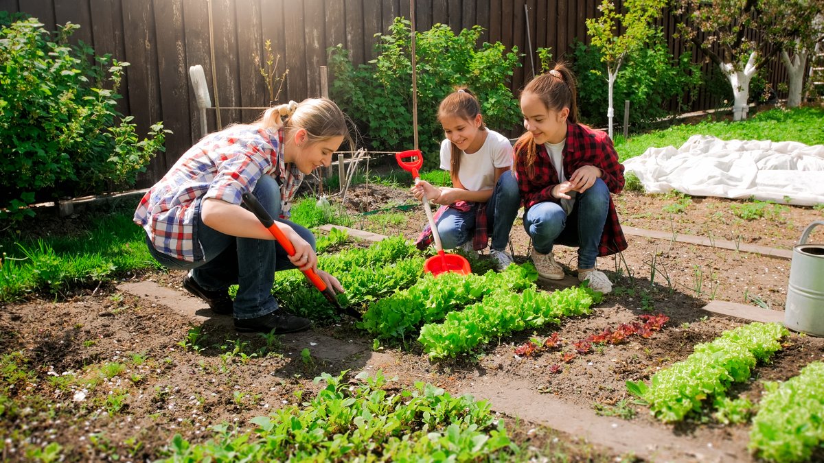 USDA_FNA's tweet photo. Happy #NationalGardenMonth! Spring is the perfect time to get outside and start your own garden. Plant seeds or small starter plants of your favorite fruits, vegetables, and herbs. https://t.co/Qt2dWbLnxm