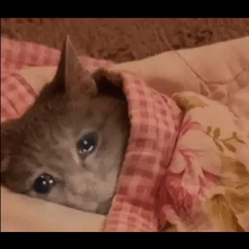 I know i’m not tripping lol I can tell when someone no longer fucks with me for whatever reason