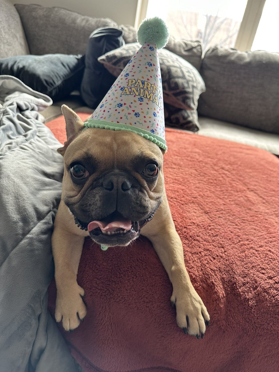 BurtsBeat tweet media