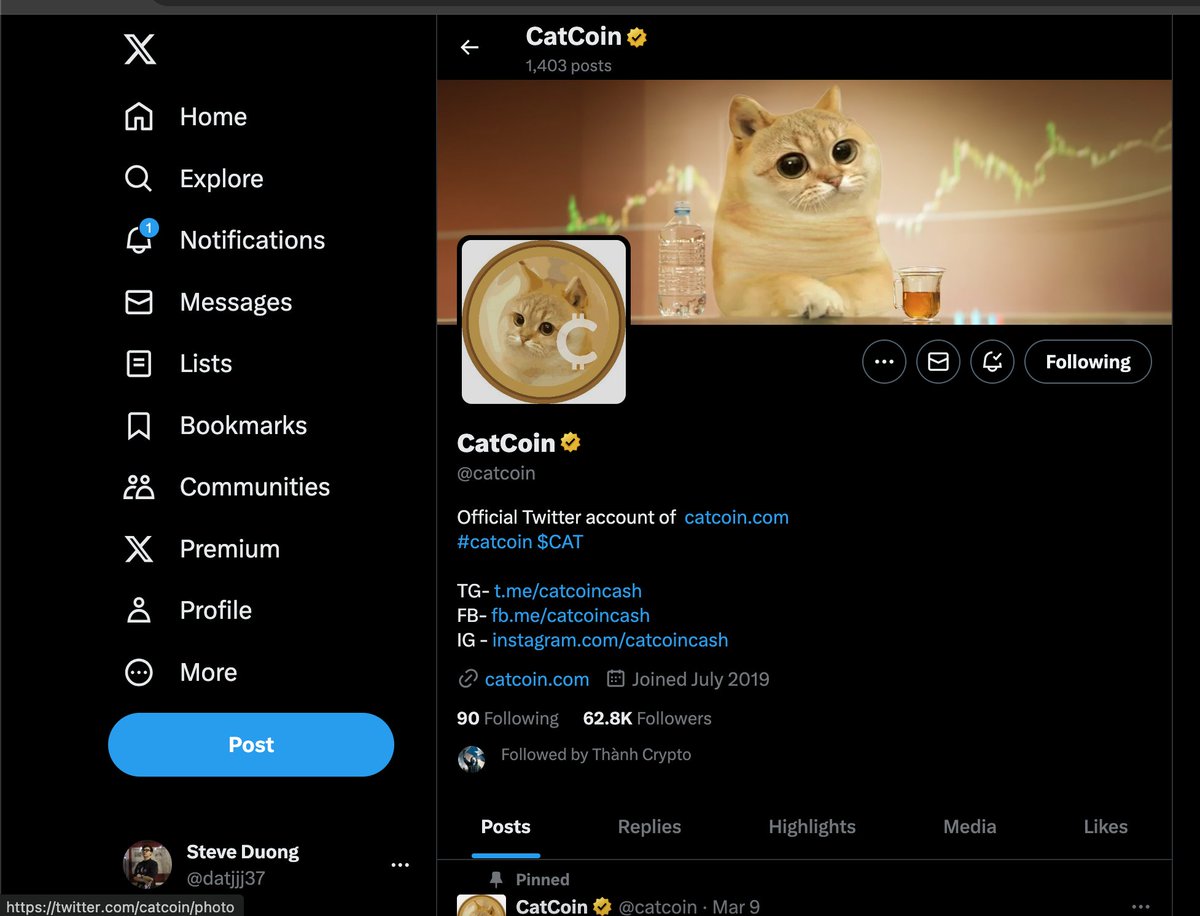 Steve Duong tweet media