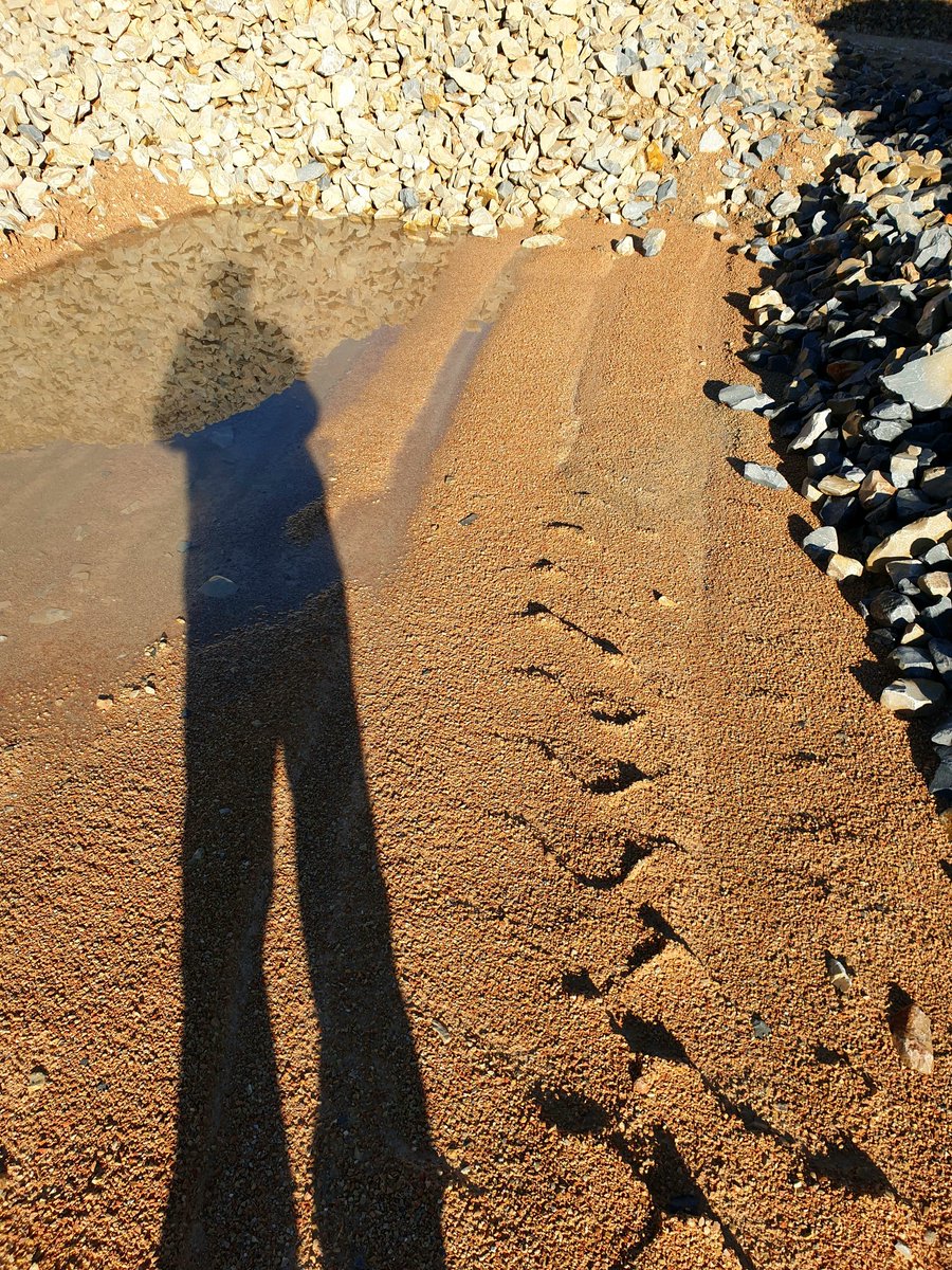 " Sur cette terre, dans les ténèbres, les coins et les recoins les plus lugubres de nos esprits, il y a toujours une place pour la beauté .. "  by Fm
#pollution #spirituality #artist #StreetArt #rock #esthetic