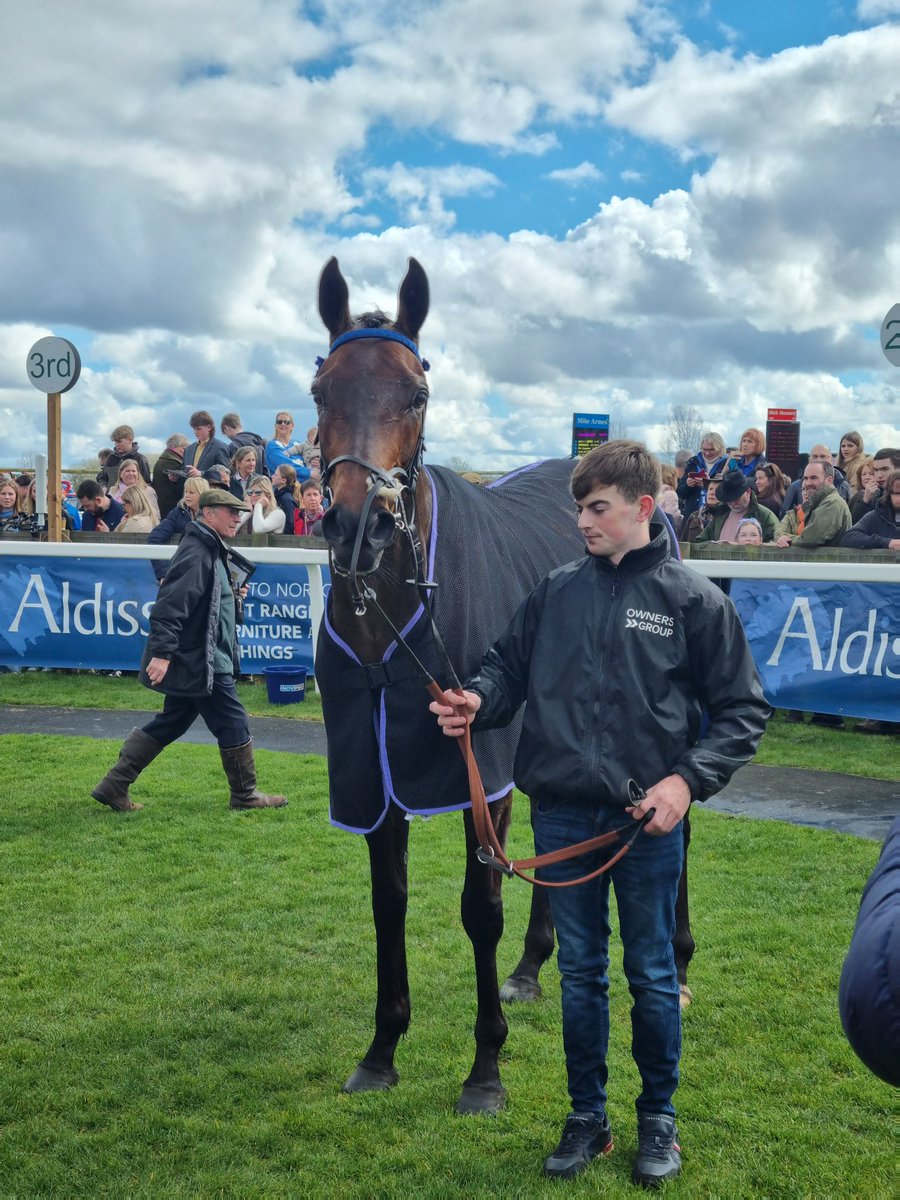 First visit to @FakenhamRC to see my boy @ownersgroupuk Camarrate to get his head infront well done to all @donaldmccain he looked amazing lovely to meet other owners group members a great day by all.