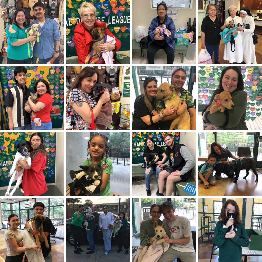 🐾 MARCH RECAP 🐾 We are so happy to share that 458 pets found their forever homes in the month of March 💚 Thank you to everyone for your continued support of ADL 🐾 We couldn’t do what we do without the help and support of our community! #ADLTexas #adoptdontshop