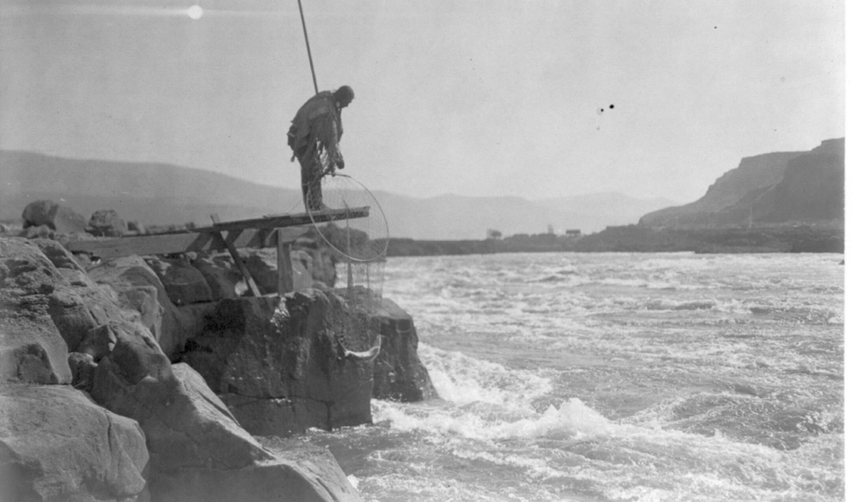 Stonefishweirs's tweet photo. The Columbia River has been home to many First Nations peoples in the past and today #Colville, #Spokane, #Coeur #dAlene, #Yakama, #NezPerce, #Cayuse, #Palus, #Umatilla, #Cowlitz, #WarmSprings #ShoshoneBannock. The #Sinixt #Shuswap people on upper Columbia #Kootenay–Ktunaxa. 3/6 https://t.co/eTbY13PN0g