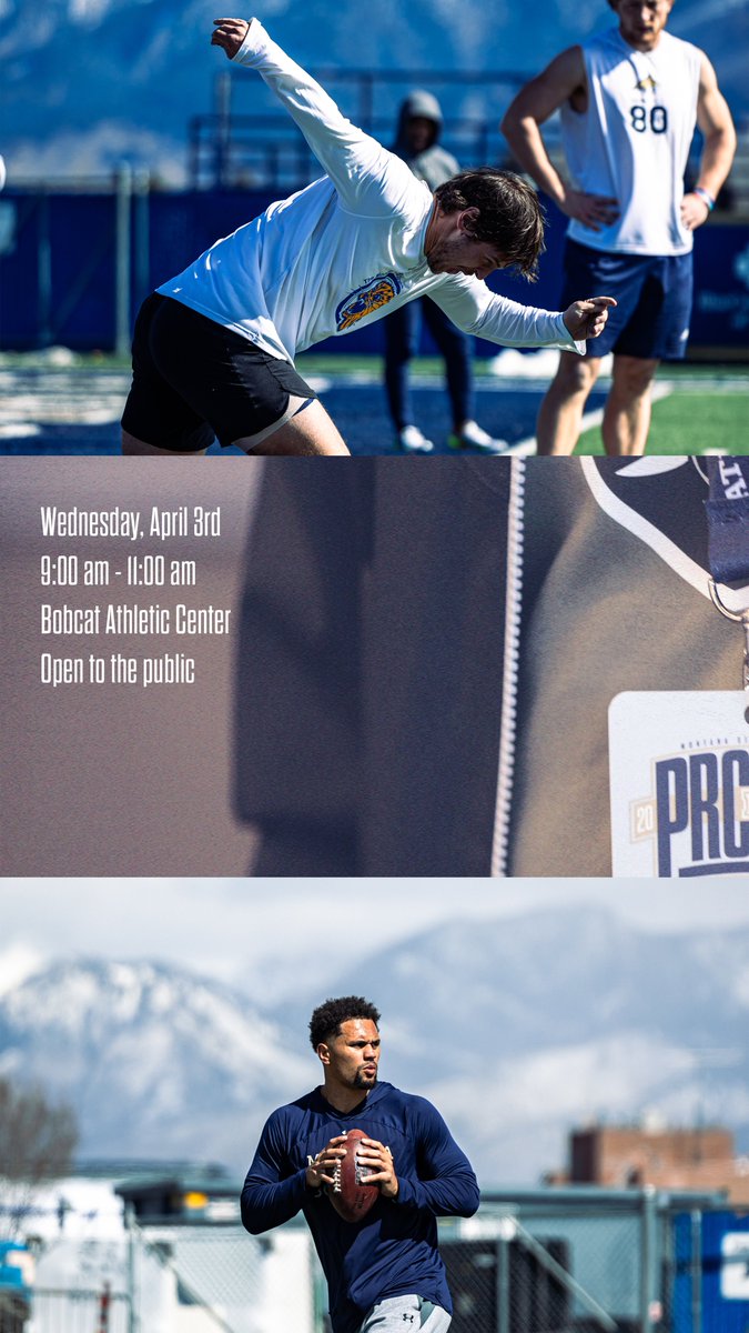 Montana State Football tweet media