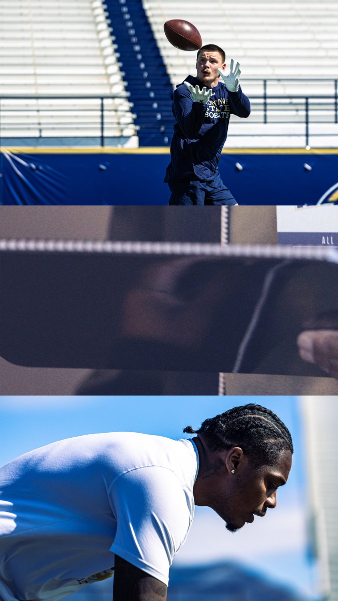 Montana State Football tweet media