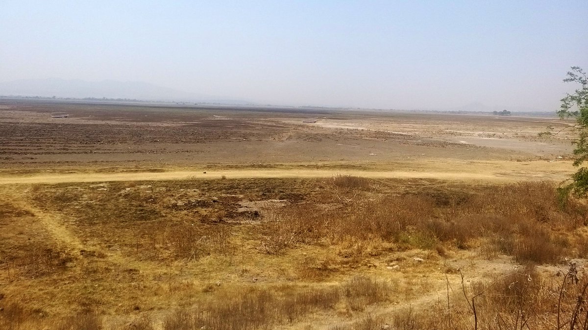 JL_Luege's tweet image. Nos encontramos en la laguna de #Zumpango. No hay una gota de agua. Fue desecada de forma arbitraria por este #GobiernoEcocida de @lopezobrador_.
Sin estudios de impacto ambiental y por instrucción INJUSTIFICADA de los operadores del #AIFA.
@GobiernoMX 4T= #AsesinoSerialAmbiental