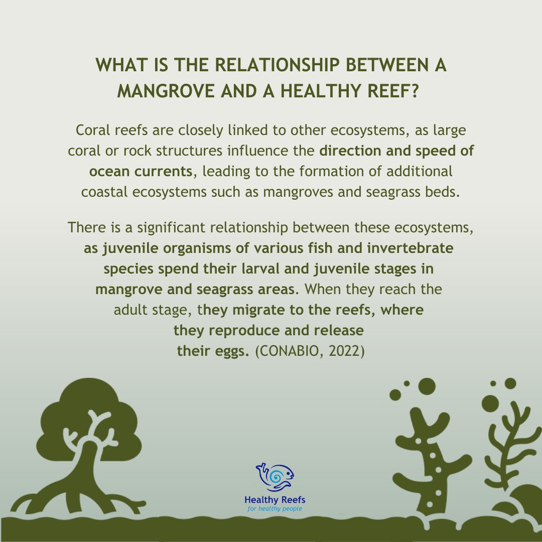 HealthyReefs tweet picture