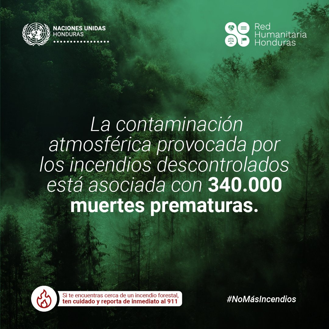 La contaminación por #IncendiosForestales afecta la salud de cientos de millones de personas y a màs de 4,400 especies terrestres y de agua dulce en el 🌎. 🌲Informarse es esencial para detener esta emergencia. Reporta todo acto o incidente que dañe los bosques. #NoMásIncendios