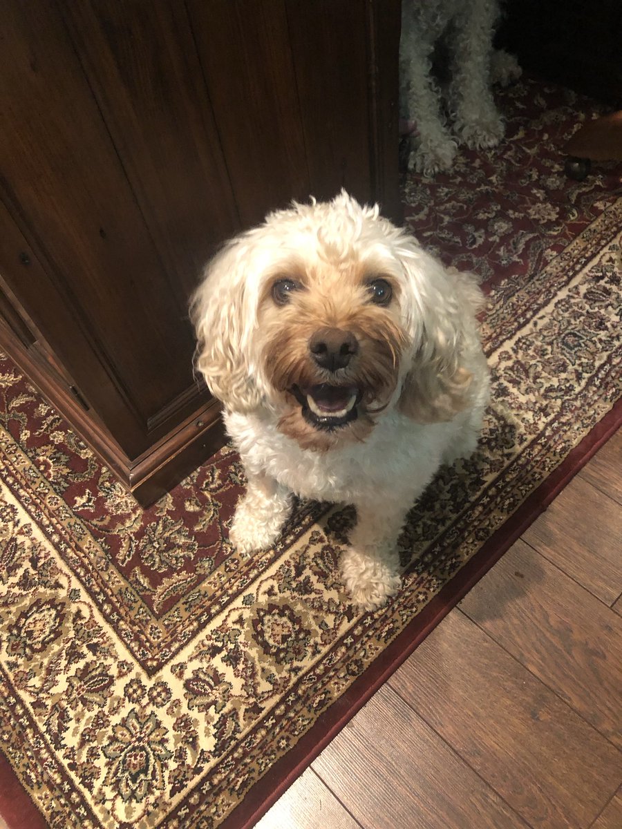 Vanessa Vander Valk tweet media