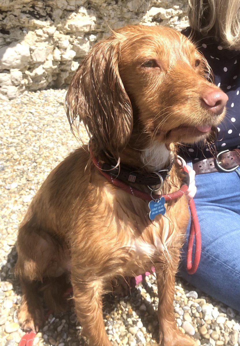 Lulworth Cove is a great place to visit any time of the year, but under some rare spring sunshine this year, it was idyllic. At least until the dog went for a swim … but that’s another story. Hope everyone has had a fabulous Easter weekend. 👍 Back to the office tomorrow! 🫡