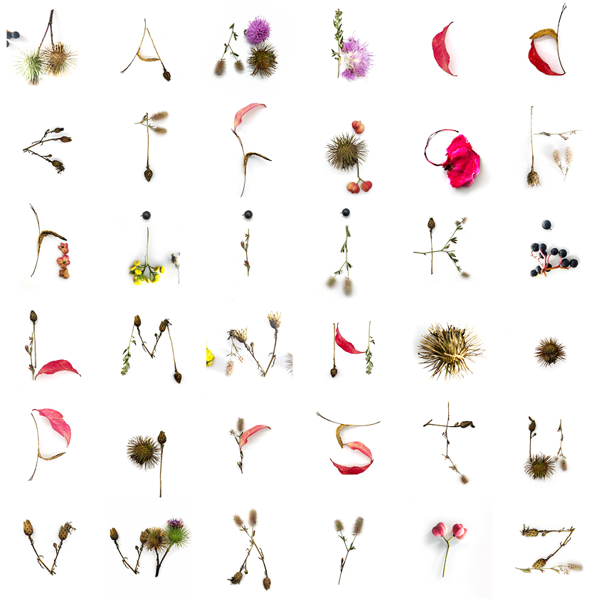 la Jular - Letras y Bits tweet media