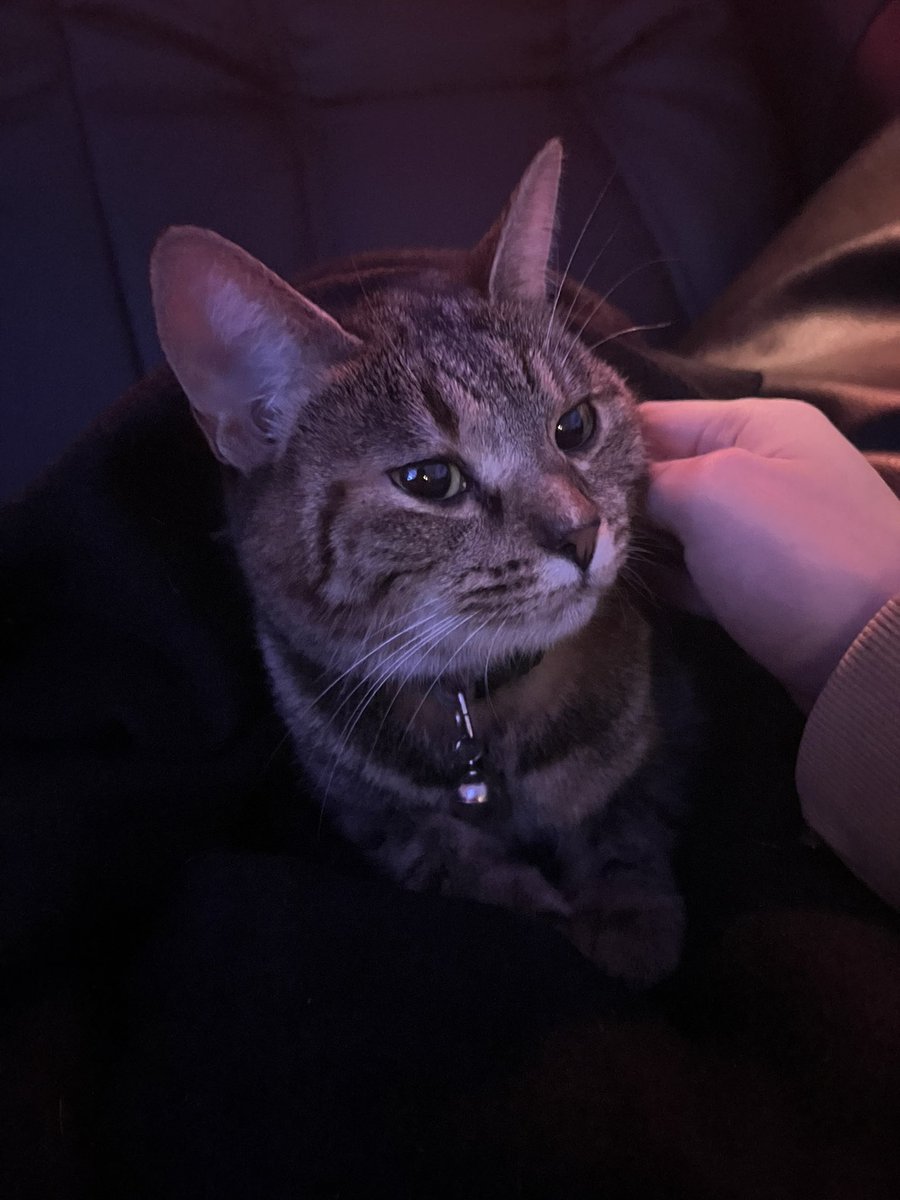 Aint losing to fnatic anymore