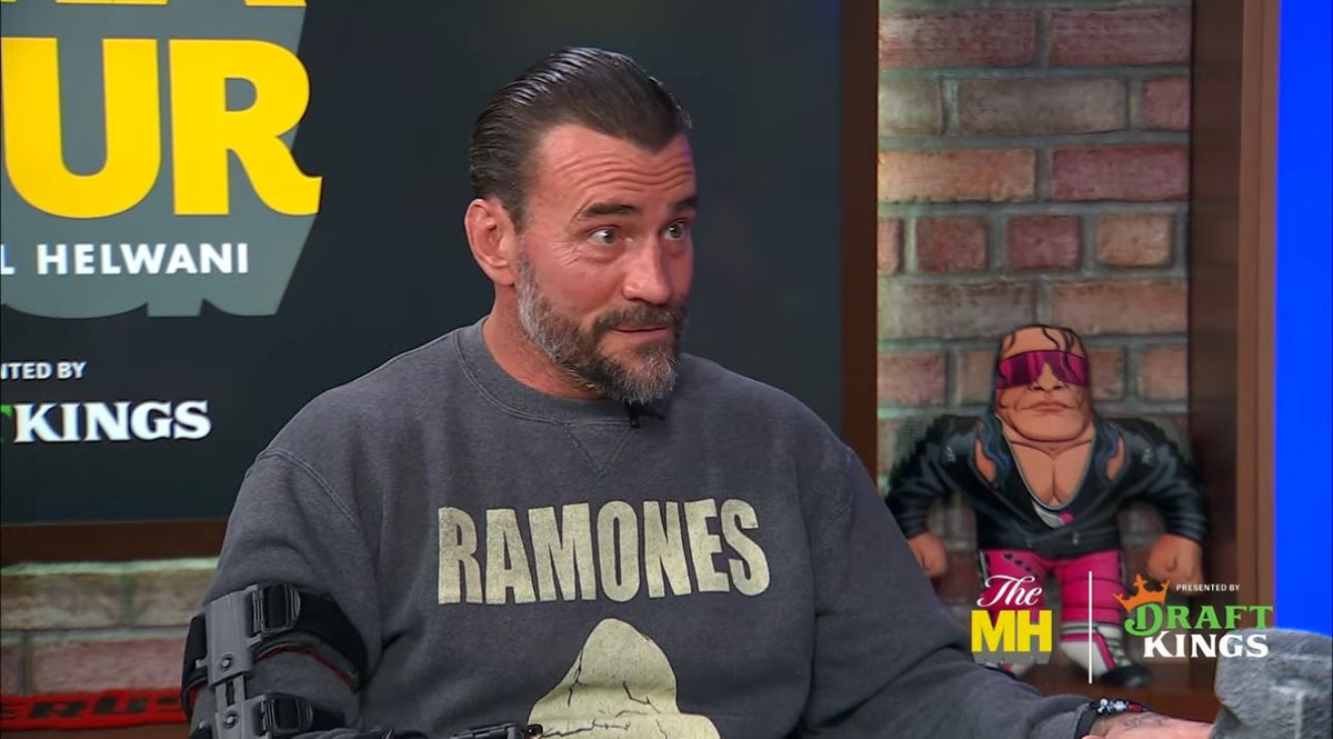 “If you're more than happy with some goof saying you had a 5 star match & the building is a quarter full…then we're not in the same business.'

— CM Punk

(MMA Hour)