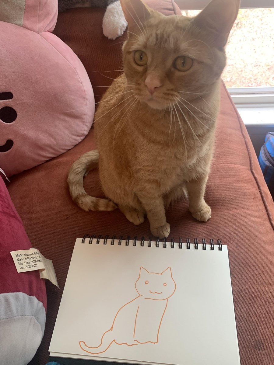 She's learning how to draw, how did she do?
