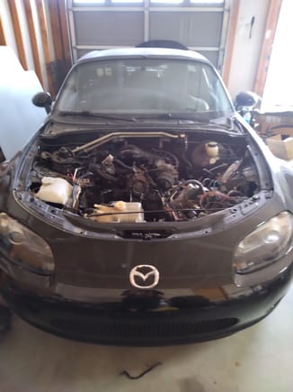 coner @PressY4Pie@fosstodon.org tweet media