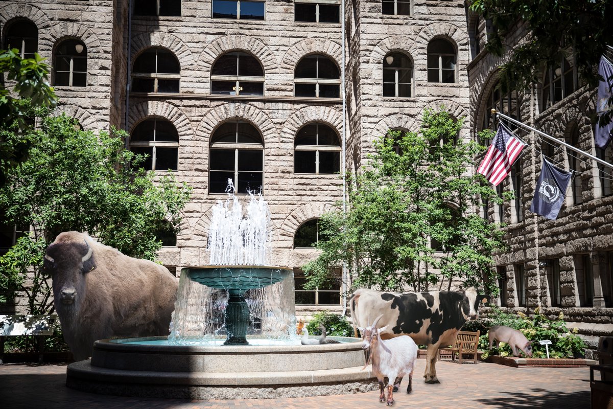 We hosted a party in the Courthouse Courtyard. It got a bit wild. Sorry about all the noise, the attendees were really some 'party animals'. Happy April Fool's Day! 🎉