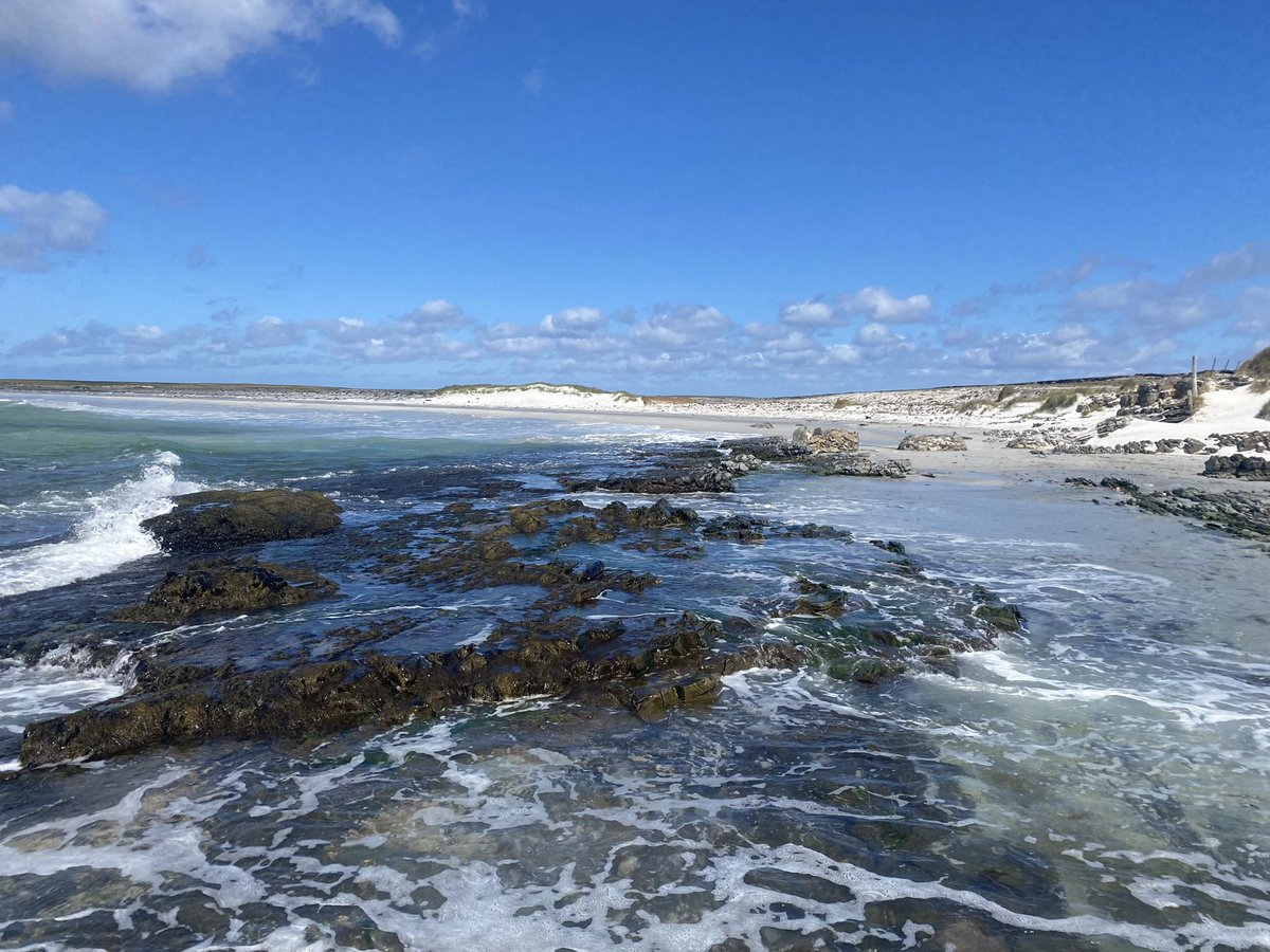 caitsgreen's tweet photo. @notverymedieval @JoePS123 falklands beaches 🇫🇰 https://t.co/FEDK3m66rg