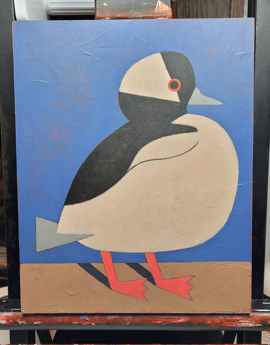 keaton_vh's tweet photo. Who left this bufflehead painting in my house https://t.co/84L0muXxOG