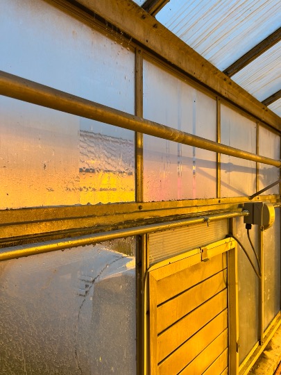 Renovations to the research greenhouses on the <a href="/michiganstateu/">MSU</a> campus are enhancing our world-class plant research. MSU-funded upgrades are ongoing, and <a href="/migovernment/">Michigan.gov</a>-funded renovations will begin in the spring.
READ: canr.msu.edu/news/msu-green…